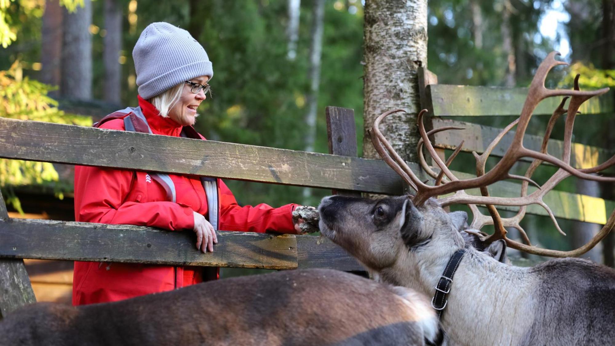 Haltia Lake Lodge Nature Boutique Hotel & Glamping Espoo Exterior photo